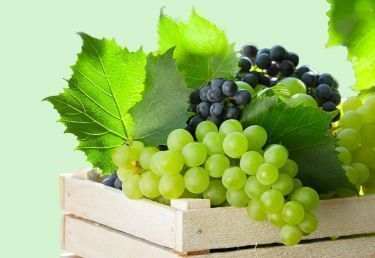 Весь виноград со скидкой до 60%