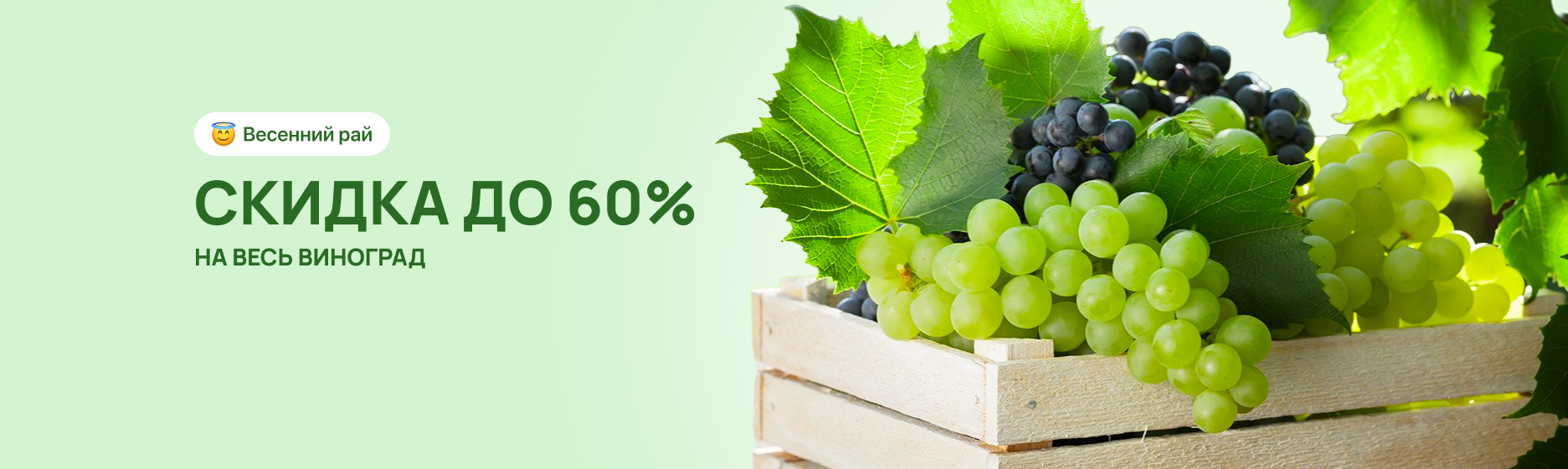 Весь виноград со скидкой до 60%