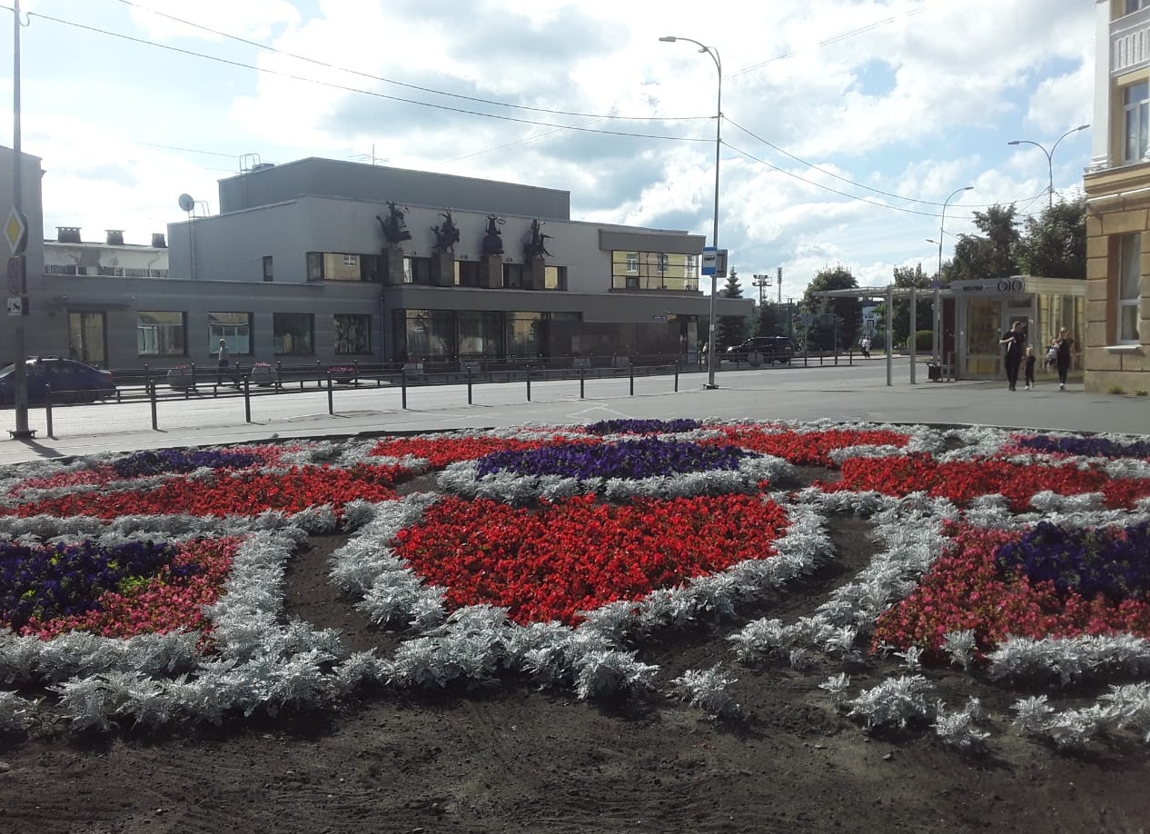 Петрозаводск украсят цветы из питомников Санкт-Петербурга