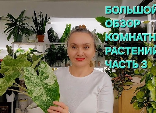 Распаковка. Питомник растений GardenPlants. Часть 3.