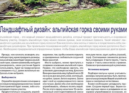 Как выбрать рассаду на рынке: инструкция для покупателя