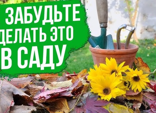 Как сделать плодовый питомник