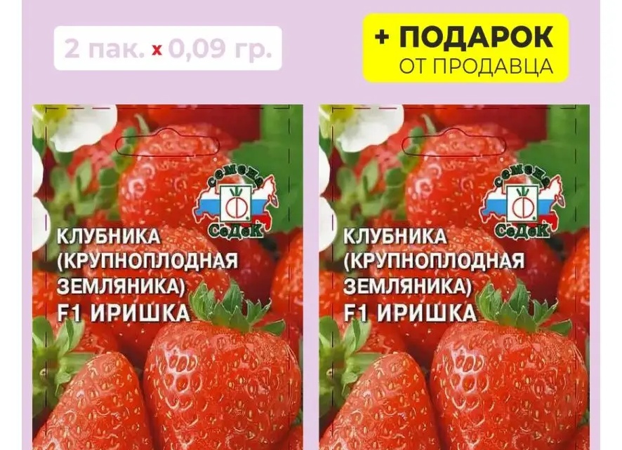 Клубника Иришка: ремонтантный сорт с очень сладкими ягодами без усов