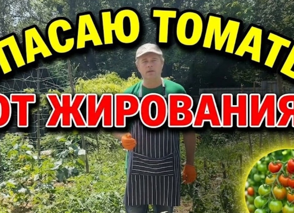 Заработок в деревне на растениях с марта по октябрь
