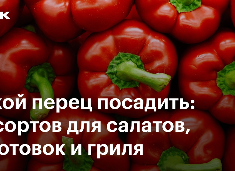 Пора выращивать рассаду! Перец 