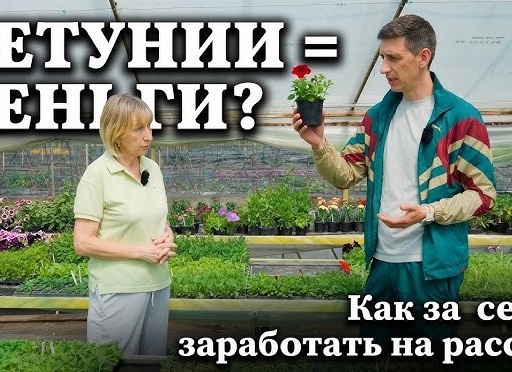 Как зарабатывать на садовой рассаде на Авито в 2025: секреты успешного бизнеса и бесплатные советы к действию
