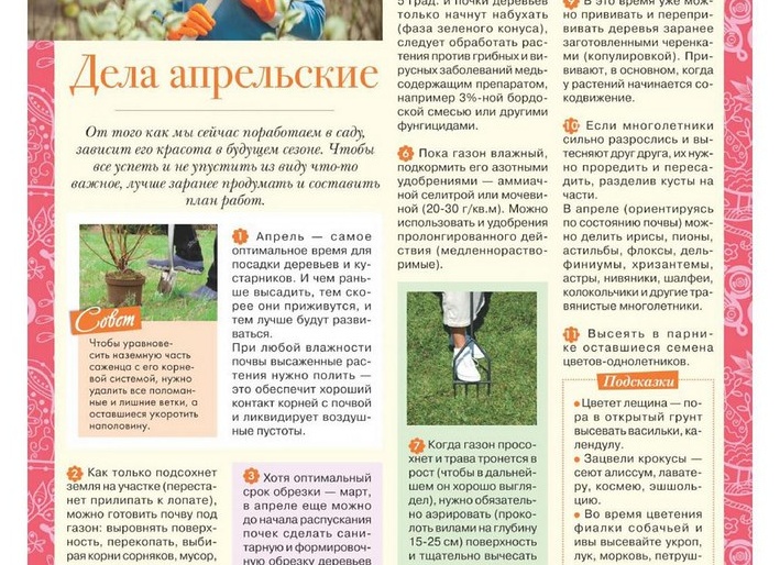 Мартовский план для рассады: что сделать за 7 дней, чтобы не остаться без помидоров и перцев летом