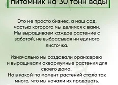 Как начать успешную продажу рассады и растений на ярмарке: секреты и советы от экспертов