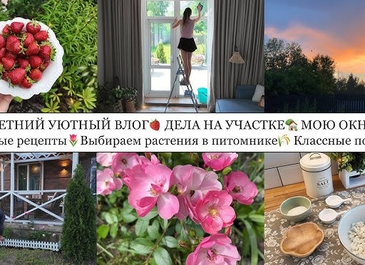 Покупаем саженцы и рассаду в питомнике. Советы и рекомендации.