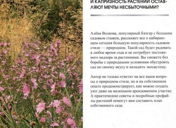 За настроением на дачу, с рассадой! Надо с чего-то начинать!