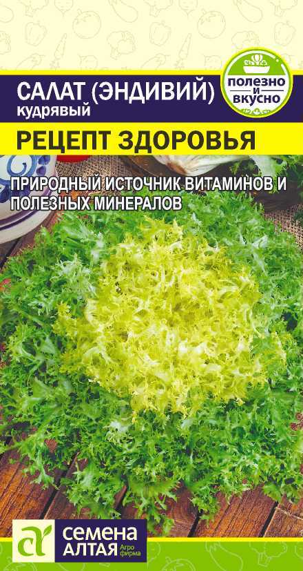 Салат эндивий Рецепт здоровья, семена