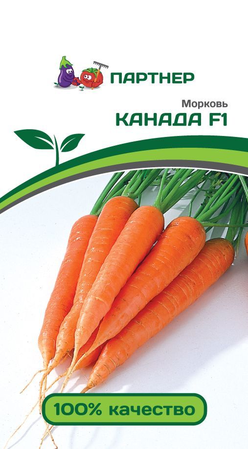 Морковь Канада F1, семена 0,5 г