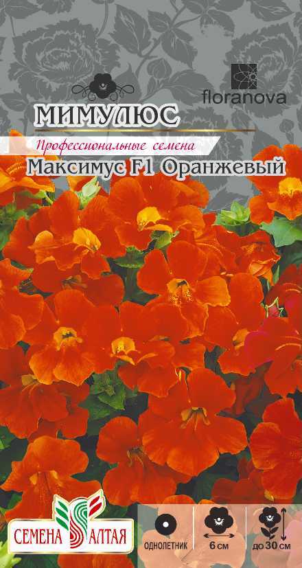 Мимулюс Максимус оранжевый F1, семена