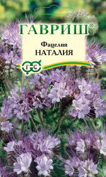 Фацелия Наталия (сидерат) 0,5 кг