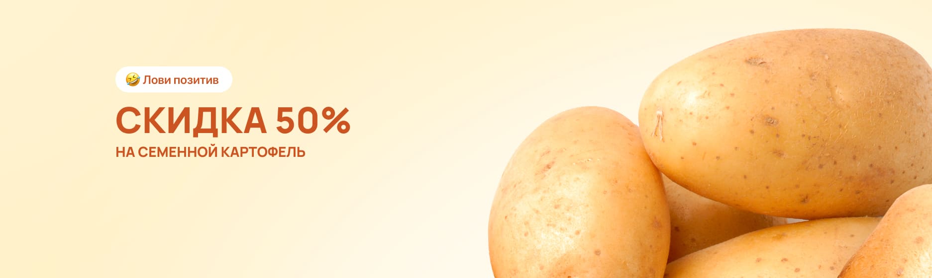 Семенной картофель со скидкой 50%