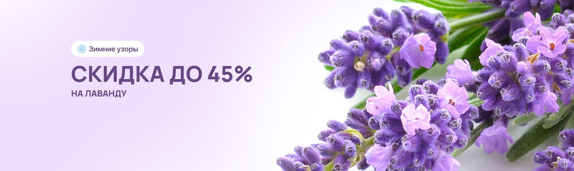 Скидка до 45% на лаванду