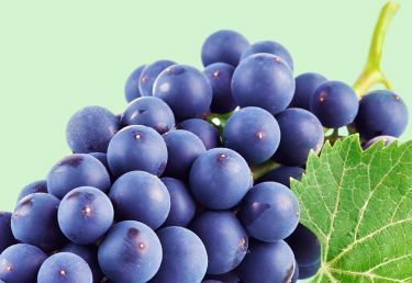 Скидка до 40% на виноград