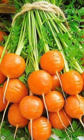 Морковь Полярная клюква, семена