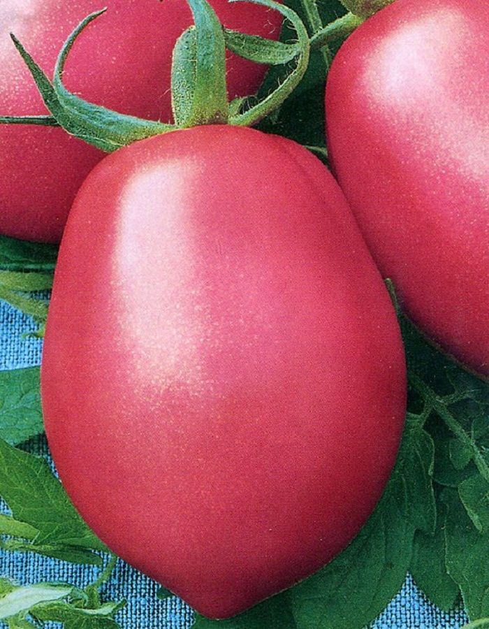 Хорошие розовые помидоры