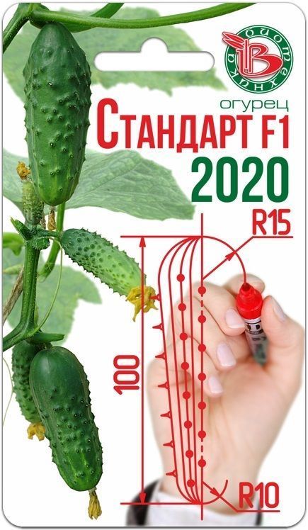 Огурец Стандарт F1 2020, семена