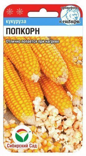 Кукуруза Попкорн, семена