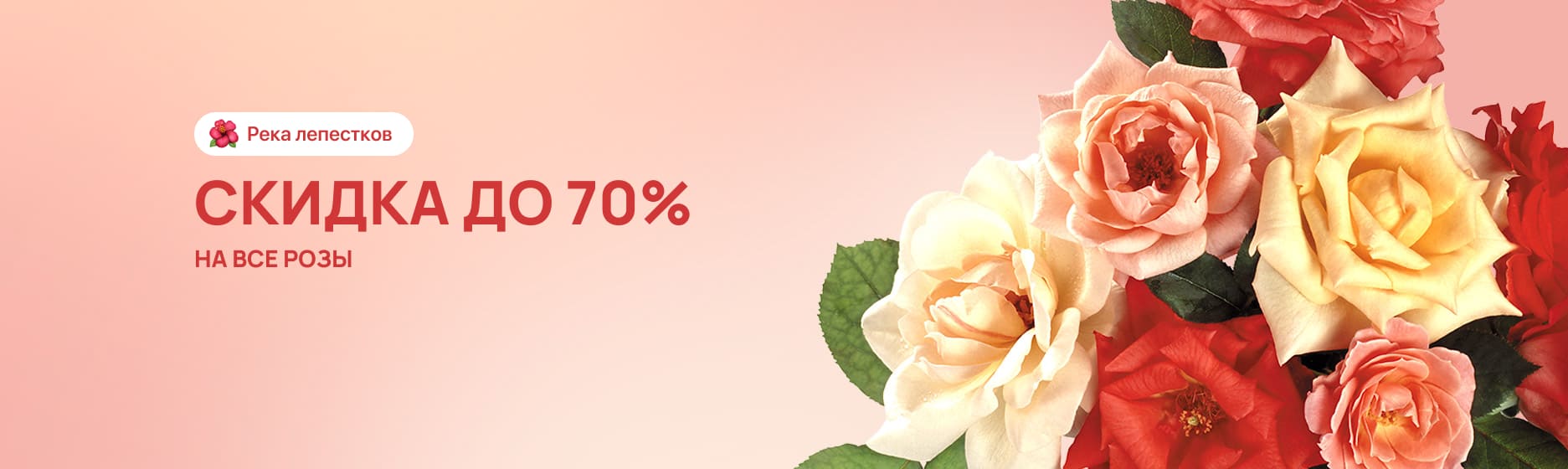 Все розы со скидкой до 70%