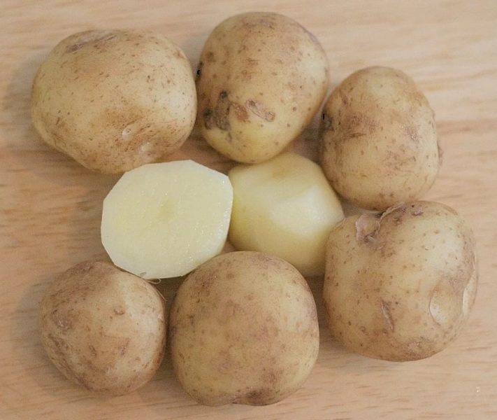 Картофель Леди Клер