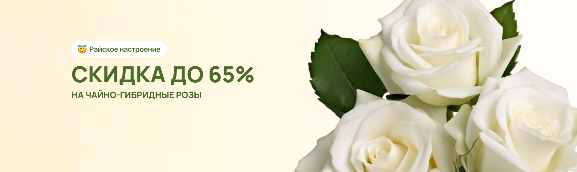 Розы чайно-гибридные со скидками до 65%