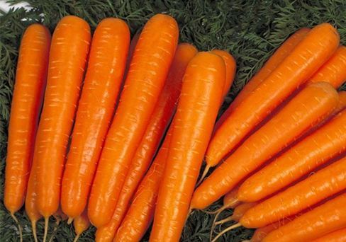 Морковь Бейби F1, семена 2 г
