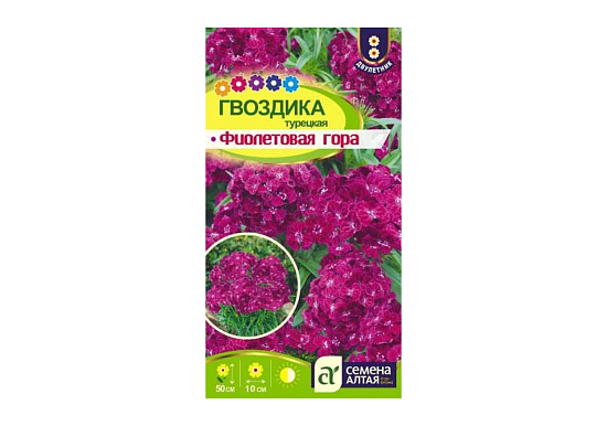 Гвоздика турецкая Фиолетовая гора, семена