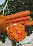 Морковь Форто, семена