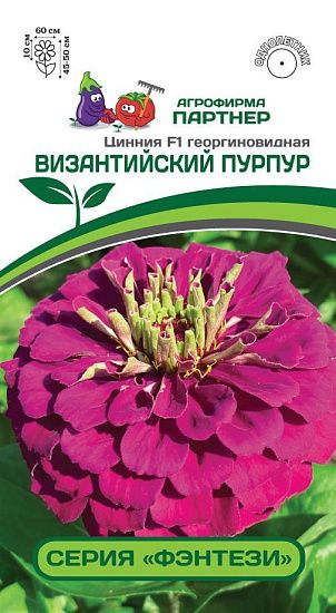 Цинния Фэнтези Византийский Пурпур F1, семена 4 шт.
