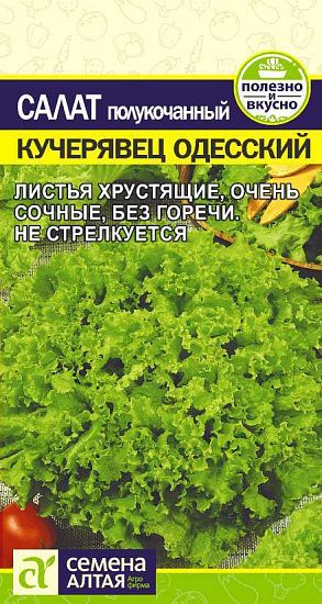 Салат кучерявый Кучерявец Одесский, семена