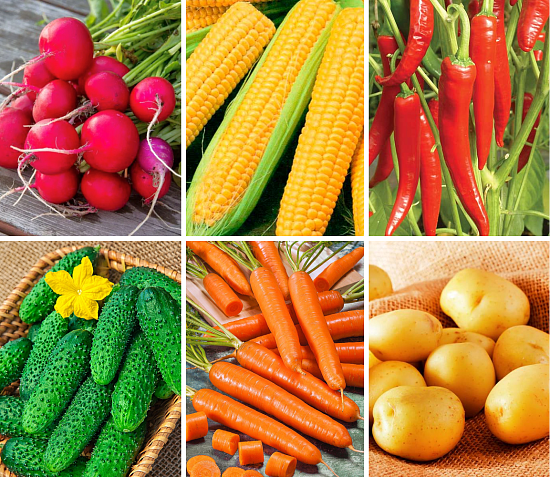 Комплект из 100 видов семян овощей «Урожайный огород»