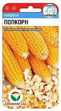 Кукуруза Попкорн, семена