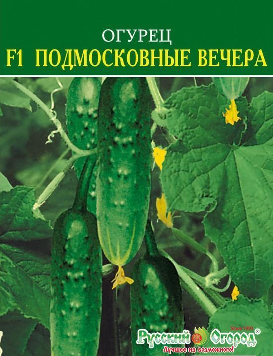 Огурец Русский изумруд F1, семена
